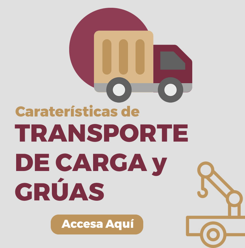 Transporte